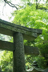 鳥居（とりい）と緑の木々