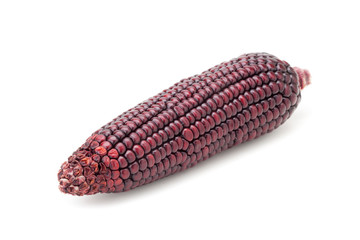purple corn
