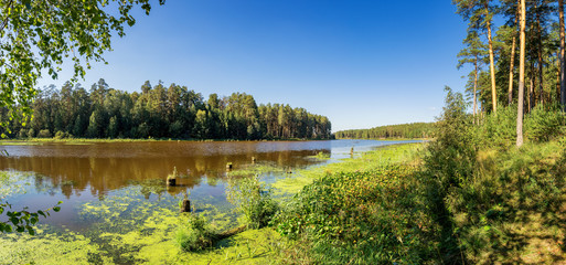 летний пейзаж на берегу уральской реки Иртыш, Россия © 7ynp100