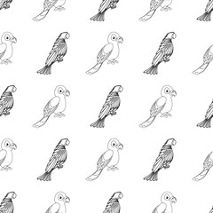 Black and white. Seamless pattern on a white background parrots