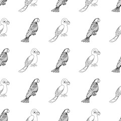 Black and white. Seamless pattern on a white background parrots