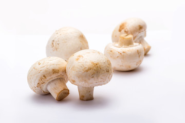 Five Champignon Mushrooms