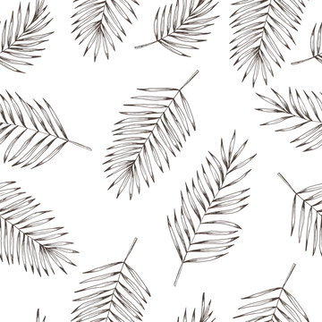 Floral coconut leaves seamless pattern. Hand drawn vintage vector illustration.