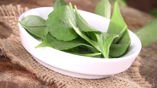Portion of rotating Stevia leaves as not loopable 4K UHD footage