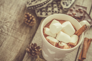 Hot chocolate with marshmallow and cinnamon