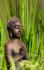 Buddha, eine Statue zwischen grünen Pflanzen, Symbolbild für Ruhe und Gelassenheit