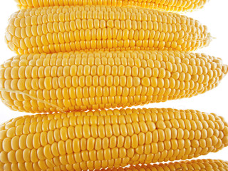 sweet corn