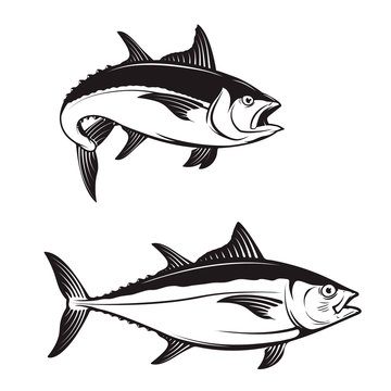 Tuna fish icons.