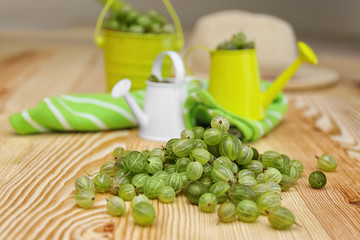 Fresh gooseberries with small watering cans on wooden table