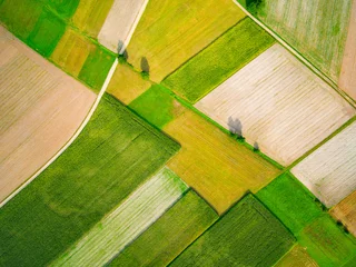 Zelfklevend Fotobehang Luchtfoto van een veld. Herfstseizoen. © ZoomTeam
