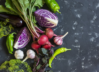 Fresh vegetables - red cabbage, beets, eggplant, peppers, garlic,  herbs on a dark background. Raw ingredients. Food background