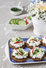 Fresh bread with cottage cheese and vegetables