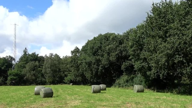 Dolly shot footage of landscape with trees on all sides and hay wraps on it small meadow with the dried cut grass awaiting pick up and storage in farm food for animals in winter time cows and other 4k