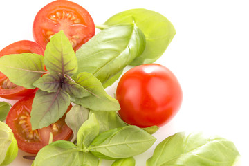 Tomatoes with basil on white background