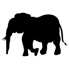 white silhouette of an elephant on a black background