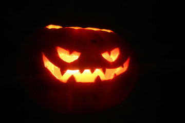 Halloween pumpkin on black