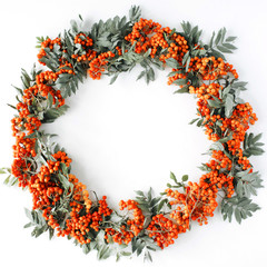 red rowan wreath frame on white background. flat lay, frame wreath, autumn wallpaper