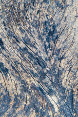 Abstract cracked of old wood background high resolution