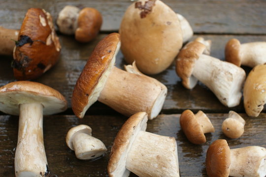 White mushrooms