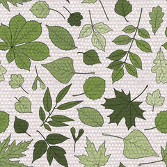 Seamless pattern with green leaves of various trees on beige textured background: chestnut, birch, linden, alder, oak, aspen, maple, ash, box elder, poplar. Vector design.