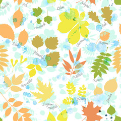 Vector seamless pattern of autumn multicolored leaves silhouettes and rain drops. Linden, ash, oak, maple, box elder, hawthorn, chestnut, birch, elm, willow, aspen, acacia, rowan, lilac, rowan