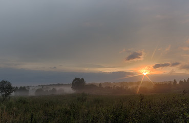 Foggy meadow with trees at sunset with cloudy sky