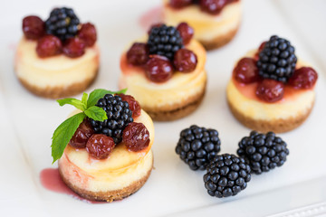 Mini cheesecake with cherry