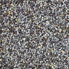 Poppy seeds background or texture.