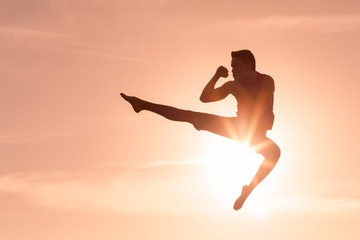 Silhouette of male martial artist doing karate kick. 