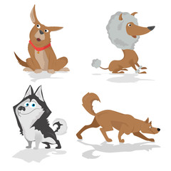 Funny dogs of various breeds standing in side view set isolated on white