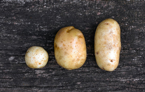 Three raw potatoes of different shapes on an old black wooden plank. view from above close-up