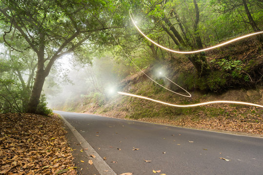 Fototapeta Road in the magic forest, light trails through the myst, fairy tale scenary, version 2.