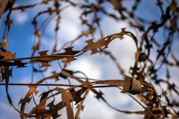 stabbing sharp wire on the fence