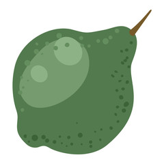 Pumpkin vector illustration isolated