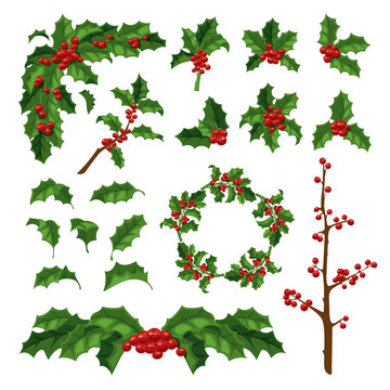 Christmas berry decoration vector set.