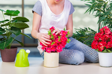 Woman taking care of home plants