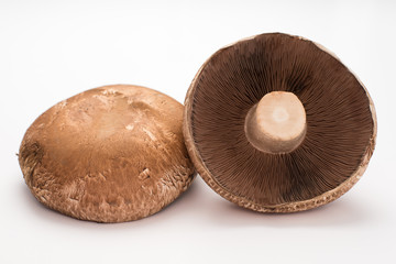 portobello mushrooms on white background, close up, horizontal