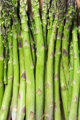 Fototapeta premium bunch of asparagus stems as food background, vertical, close up