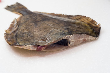 Flounder raw fish on a dark background