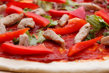 tasty Italian pizza with cheese and chiken