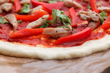 tasty Italian pizza with cheese and chiken