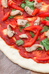 tasty Italian pizza with cheese and chiken
