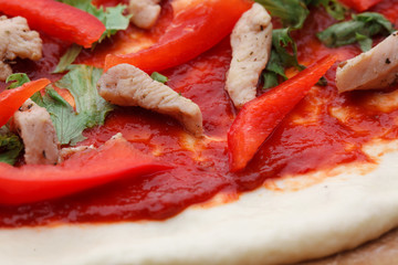 tasty Italian pizza with cheese and chiken