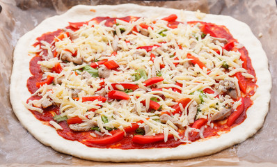 tasty Italian pizza with cheese and chiken