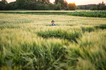 Child in rye field