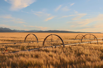 Field Irrigation System