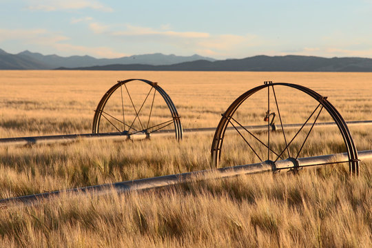 Field Irrigation System