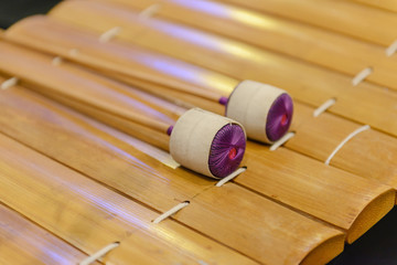 Thai Traditional wooden xylophone, Thai musical