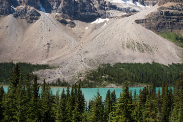 closer look at crowfoot mountain and glacier lake, surrounded by forest in Banff National Park, Alberta, Canada.