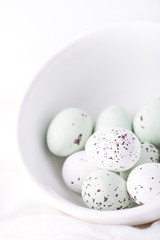chocolate truffle eggs in white and pastel green colours in white bowl for Easter Day. isolated on white background with copy space, brightly lit, close up and vertical